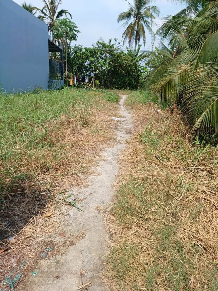 Đất thổ cư An Vĩnh Ngãi, Tân An 157.6m² giá 450 triệu - Chính chủ bán gấp!