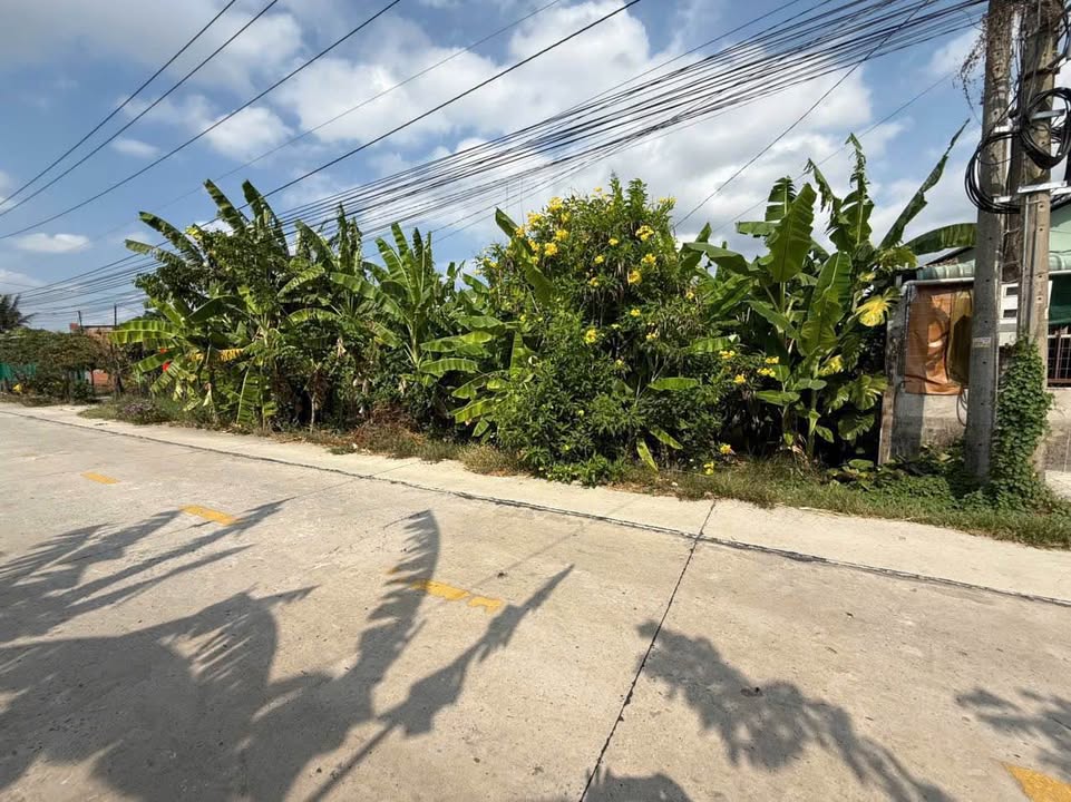 Đất nền thổ cư mặt tiền đường Lộ Dừa, Vĩnh Công, Châu Thành, Long An 200m² giá 1.35 tỷ - Đầu tư sinh lời!