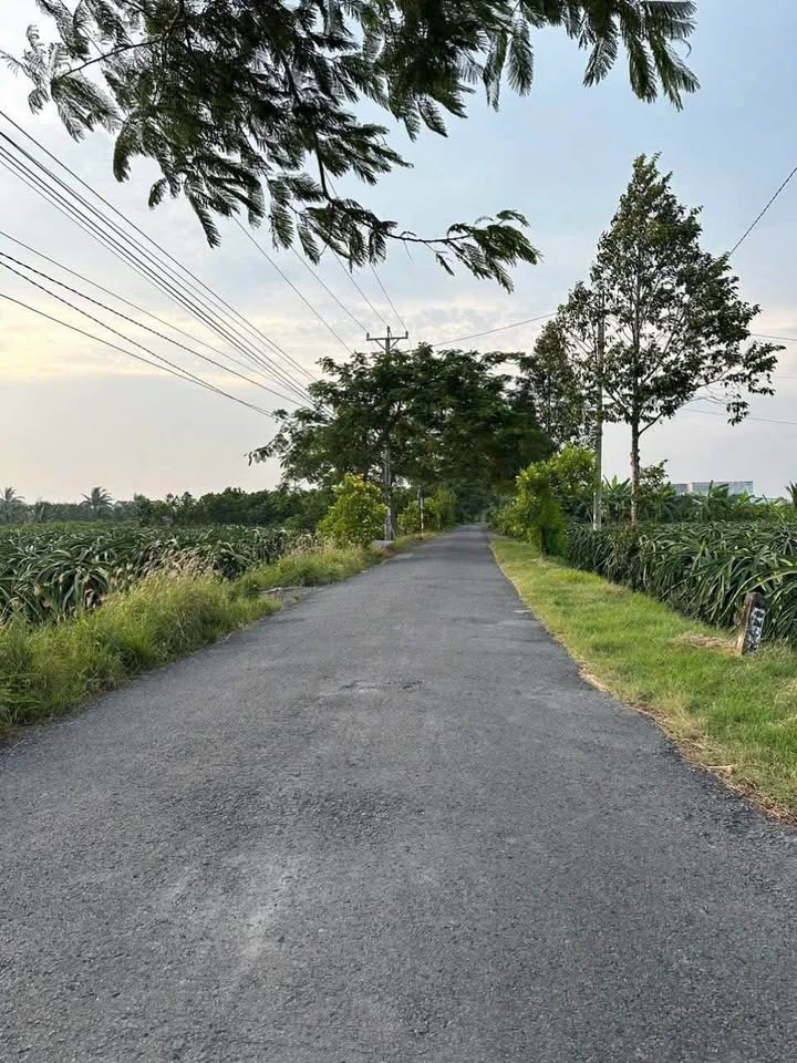 Đất thổ cư Tầm Vu 140m² giá 680 triệu - Mặt tiền đường 30/4 thuận lợi!