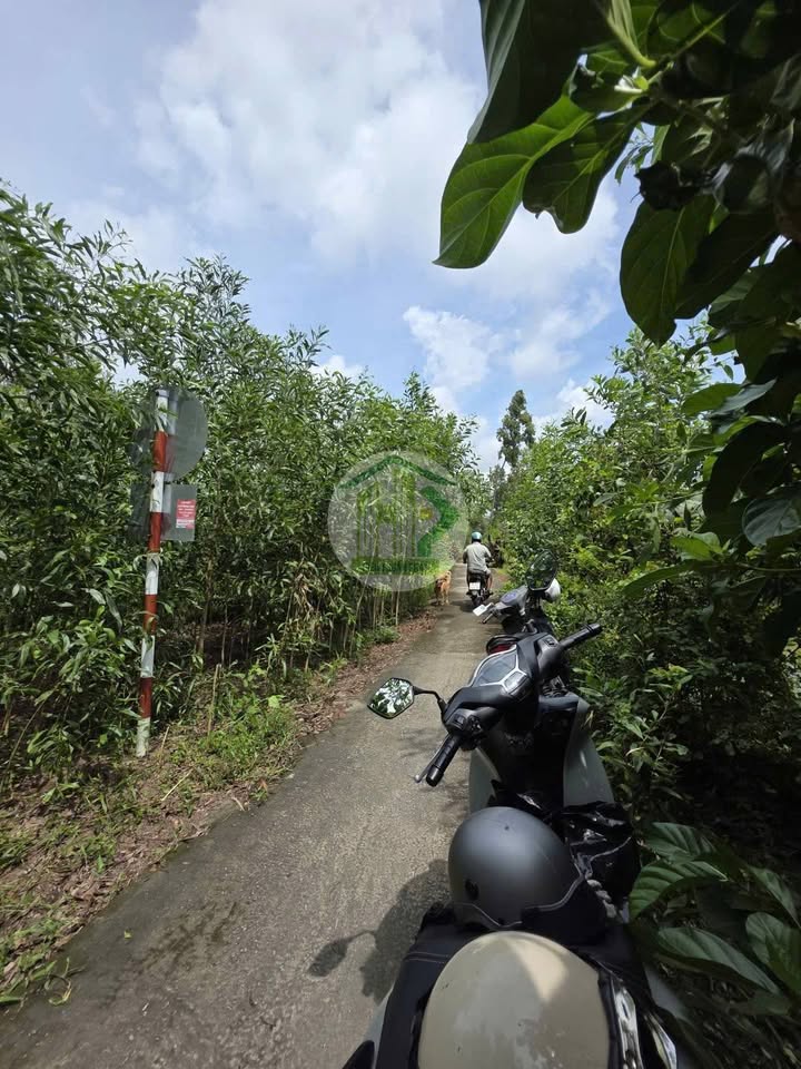 Đất nền thổ cư Vườn Cò 120m² giá chỉ 350 triệu - Cơ hội vàng cho đầu tư!