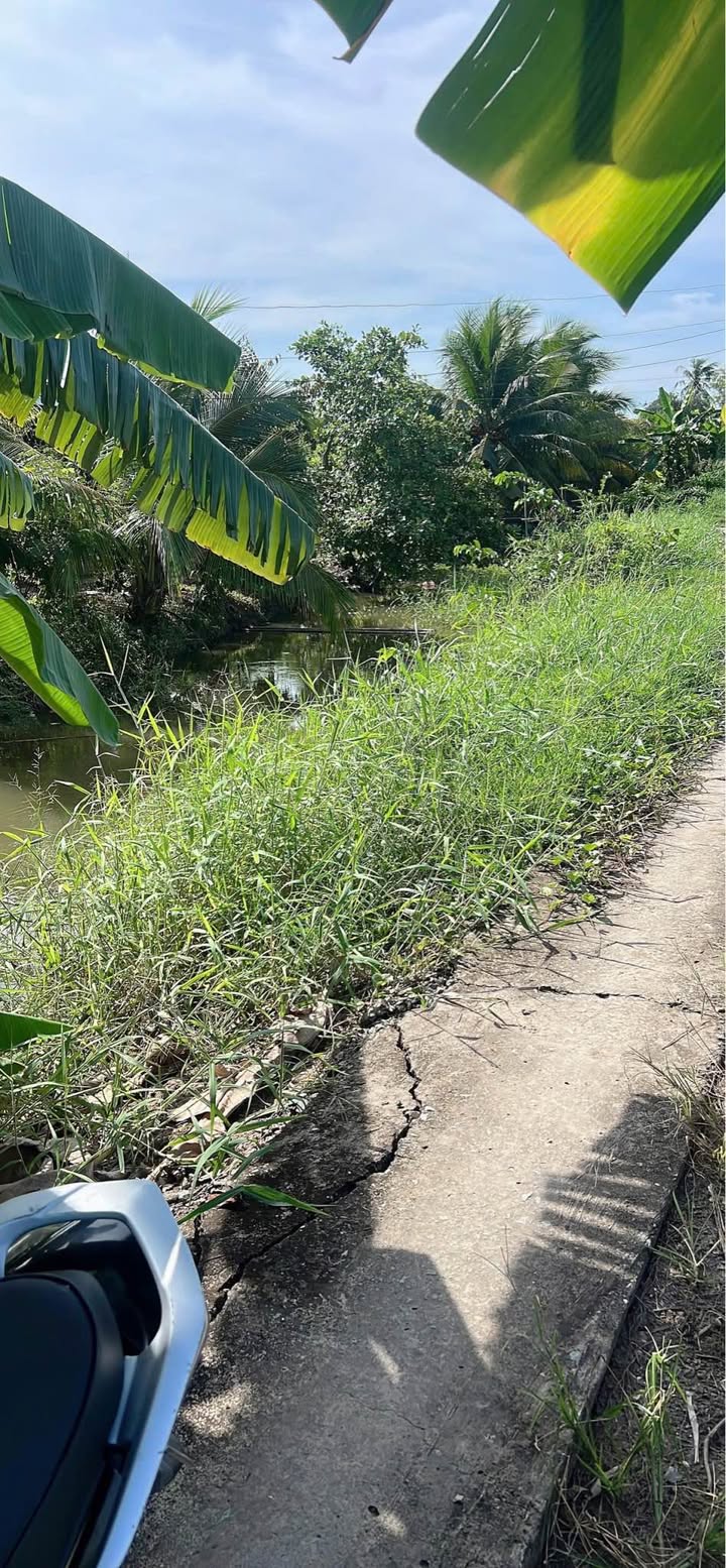 Đất lúa 2050m² xã Vĩnh Công, Châu Thành - Mặt tiền 79m, Giá chỉ 1.1 tỷ