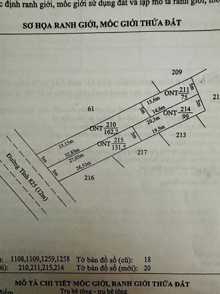 Đất thổ cư 470m² mặt tiền TL 825, xã Tân Mỹ - Sổ hồng chính chủ, chỉ 6 tỷ!