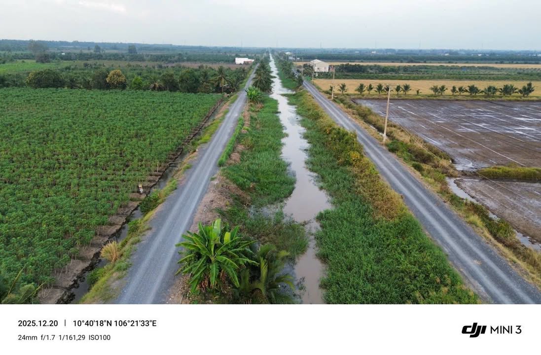 Đất nền 1000m² mặt tiền kênh tại Tân Thành, Thủ Thừa - Chỉ 650 triệu!