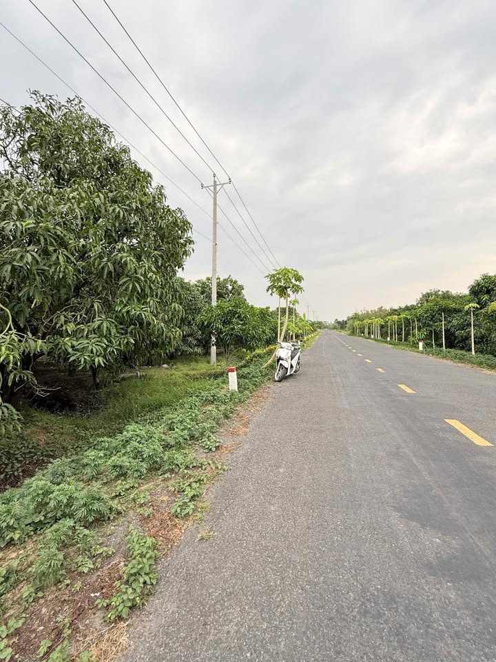 Đất nền liền kề đường Vành Đai Sông Tiền, Cao Lãnh 613m² giá 3.6 tỷ - Đầu tư sinh lời ngay!