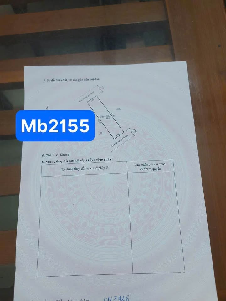 Đất nền tại Đông Vệ, Thanh Hóa 80m² giá 4 tỷ - Sổ hồng trao tay ngay!