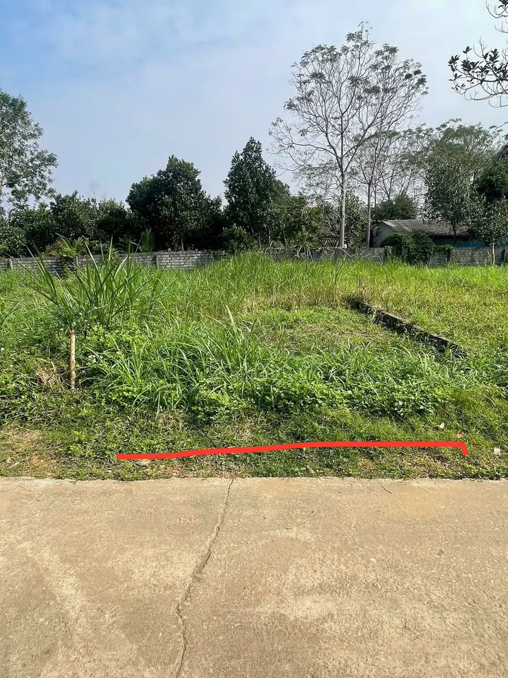 Đất nền Thọ Sơn Triệu Sơn 120m² giá chỉ 300 triệu - Cơ hội đầu tư hấp dẫn!