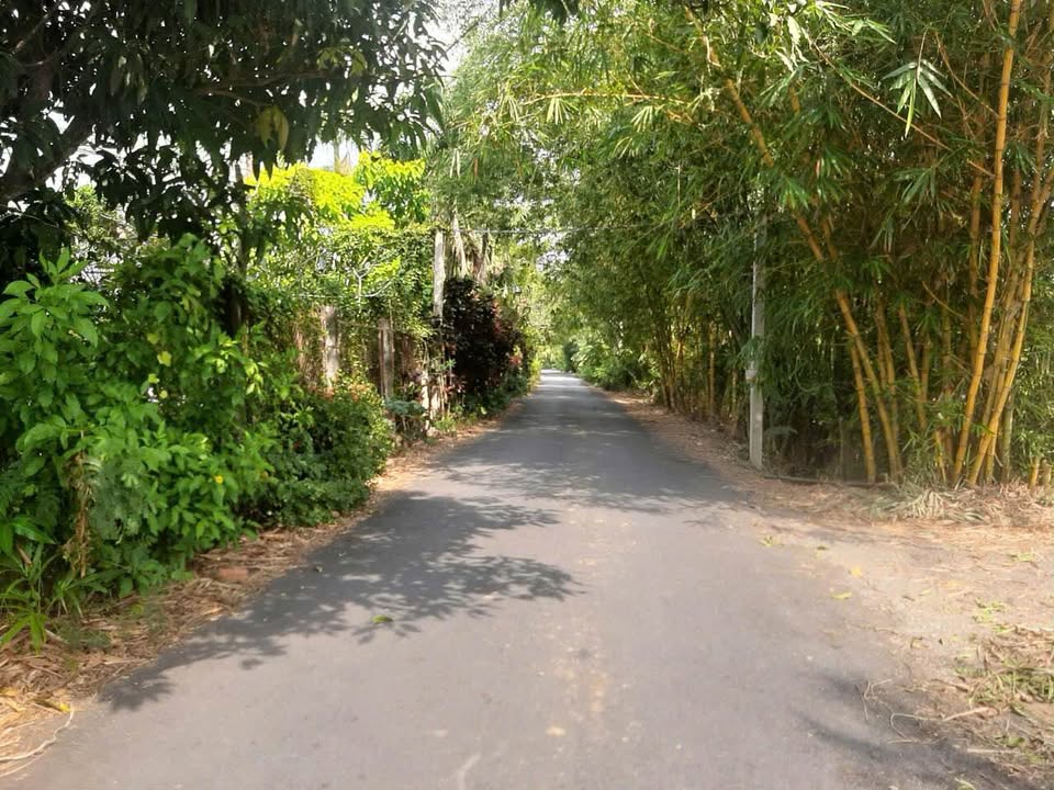 Đất mặt tiền ấp 2, xã Long Hưng, Đồng Tháp 1821m² giá 2,9 tỷ - View kênh trong lành