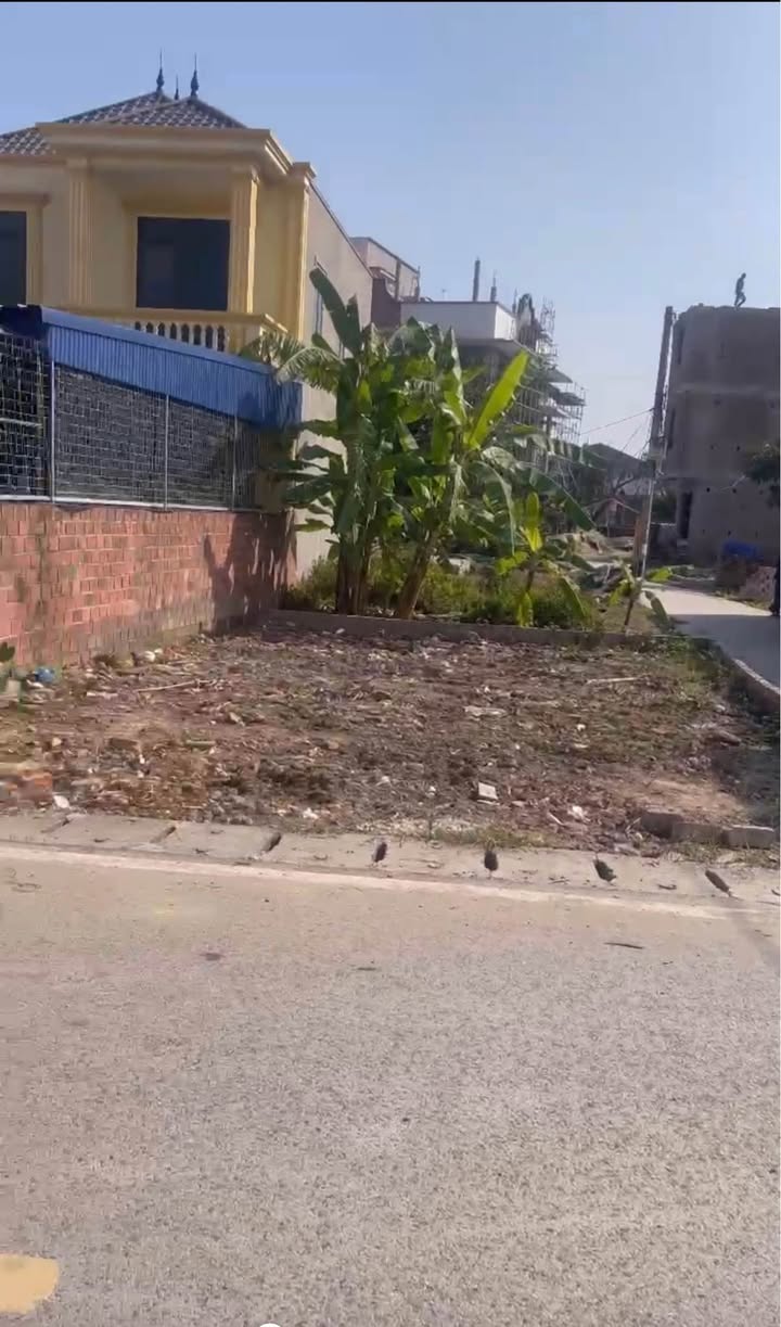 Đất nền thôn Đông Quán, xã Hoa Động 105m² giá 4.15 tỷ - Gần khu dân cư sầm uất!