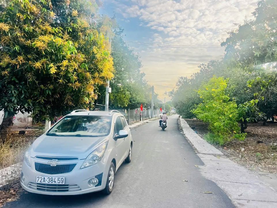 Nhà cấp 4 Hòa Hội, Xuyên Mộc 245m² giá 950 triệu - Cơ hội đầu tư hấp dẫn!