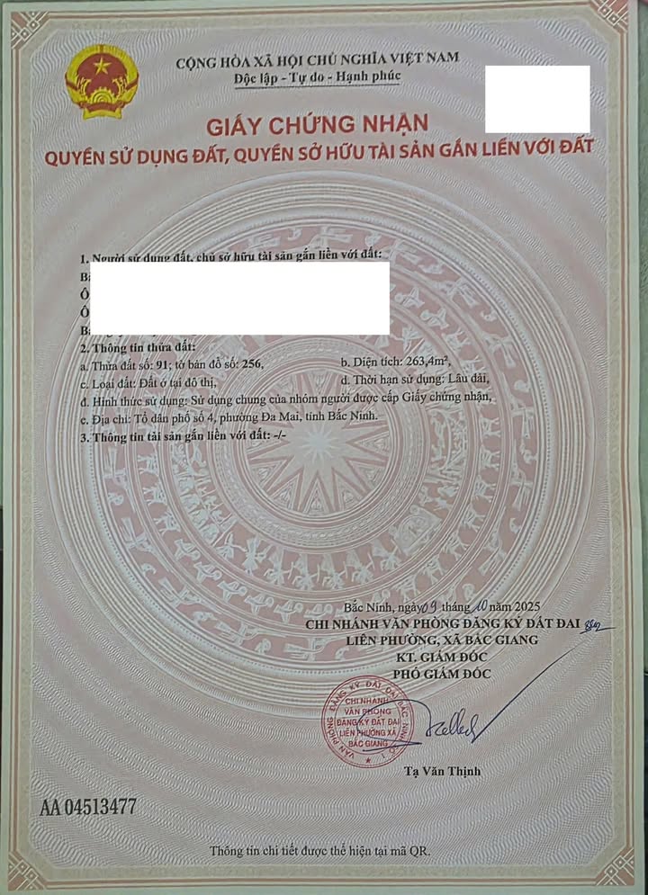 Đất nền giá rẻ tại Bắc Giang 263m² - Cơ hội đầu tư hấp dẫn!