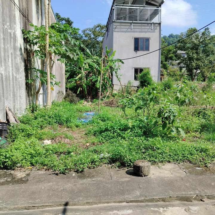 Bán lô đất thôn Tòng Chú 3, xã Cốc San, Lào Cai - Diện tích 180m² chỉ 1,3 tỷ!