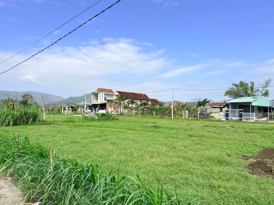 Đất vườn Phước An, Tuy Phước 1500m² giá tốt - Đầu tư sinh lời lý tưởng!