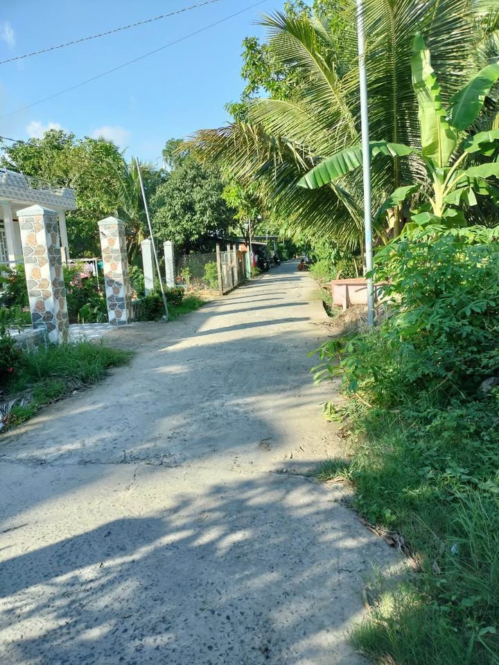 Đất thổ cư đường Dân Tộc Nội Trú Ô Môn 92m² chỉ 1.1 tỷ - Đầu tư sinh lời ngay!