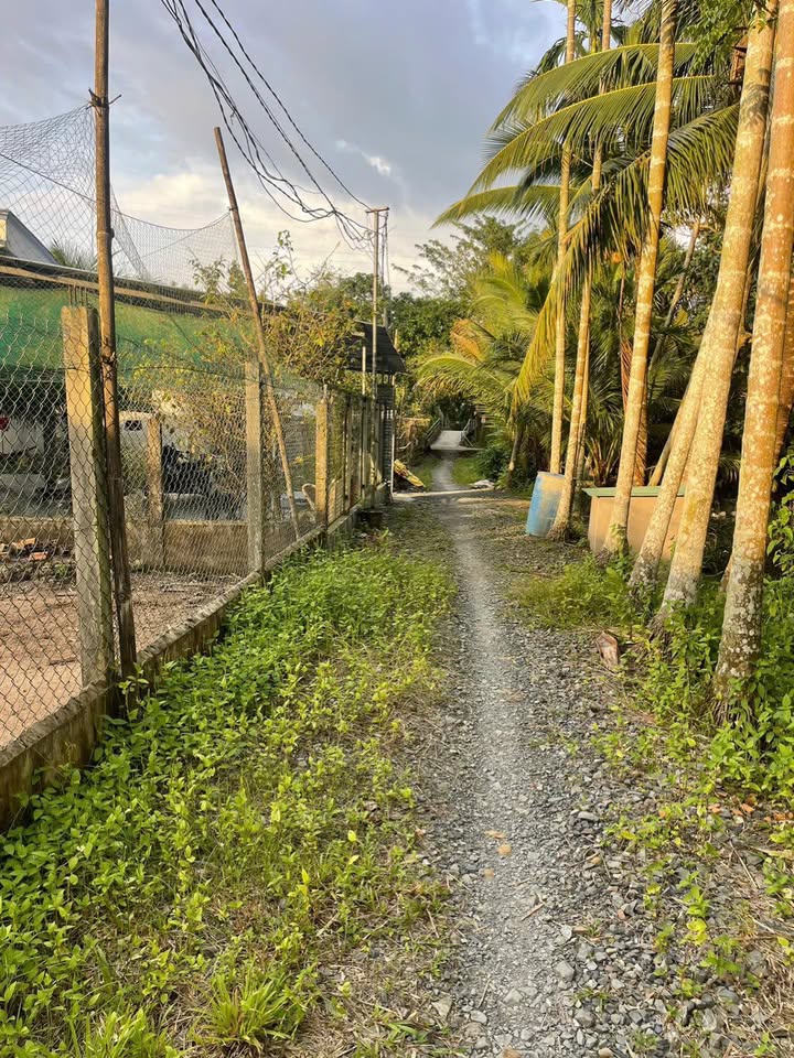 Đất nền Tân Bình 120m² giá 450 triệu - Cơ hội đầu tư hấp dẫn!