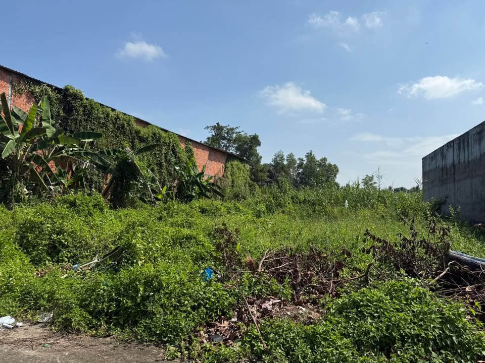 Đất nền mặt tiền Nguyễn Văn Cừ nối dài 6027m² - Cơ hội đầu tư sinh lời cao!