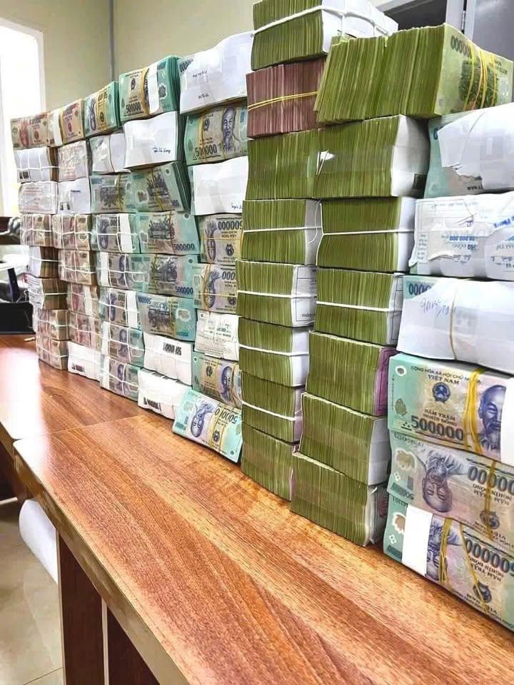 Đất vườn Tịnh Bắc 2500m² - Thích hợp làm nhà vườn nghỉ dưỡng!