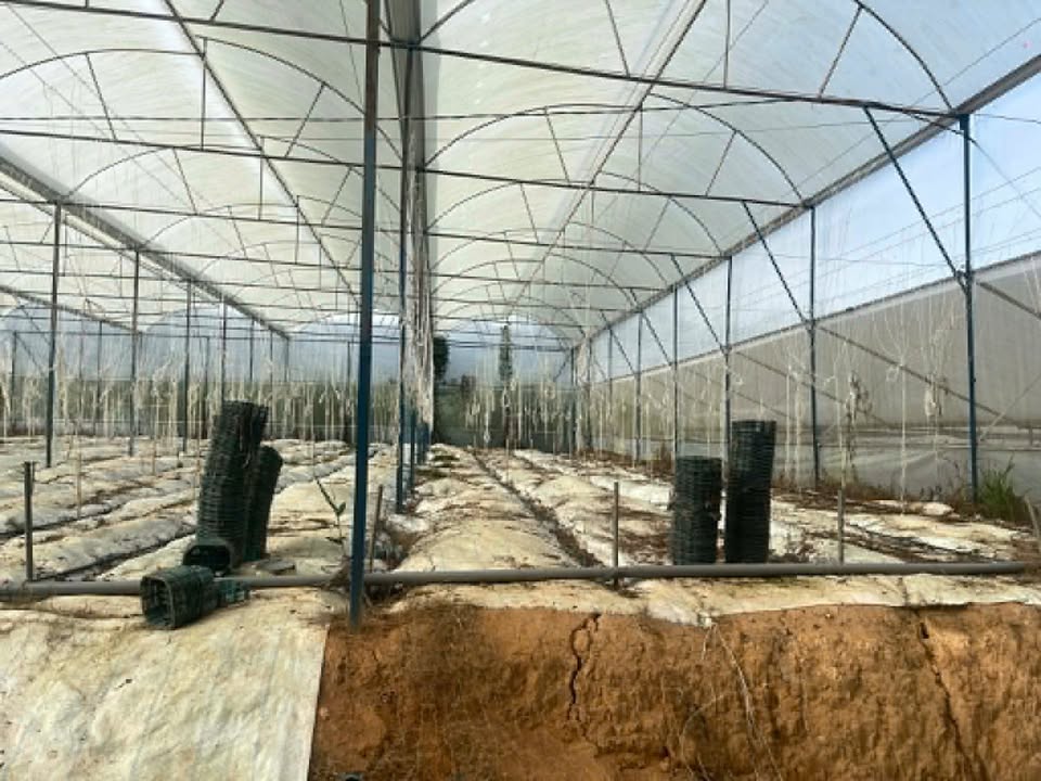 Cho thuê farm 2,2 sào tại xã Tà Nung, Đà Lạt - Giá 66 triệu/tháng