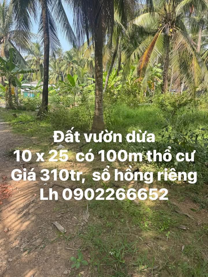 Đất nền Tân Phú Đông 250m² giá 310 triệu - Đầu tư sinh lời tiềm năng!