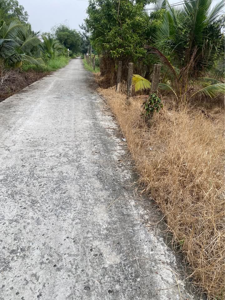 Đất thổ cư Vĩnh Công, Châu Thành, Long An 1400m² giá 1.5 tỷ - Đầu tư sinh lời ngay!