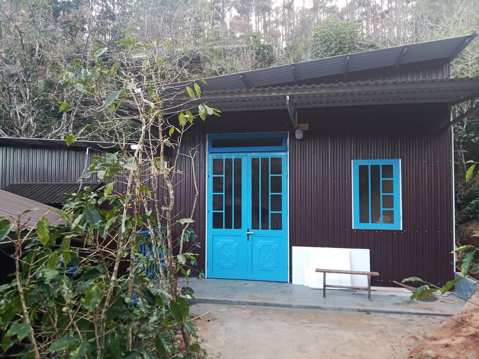 Nhà nguyên căn cho thuê Đà Lạt 80m² giá 4 triệu - View rừng thông yên tĩnh!