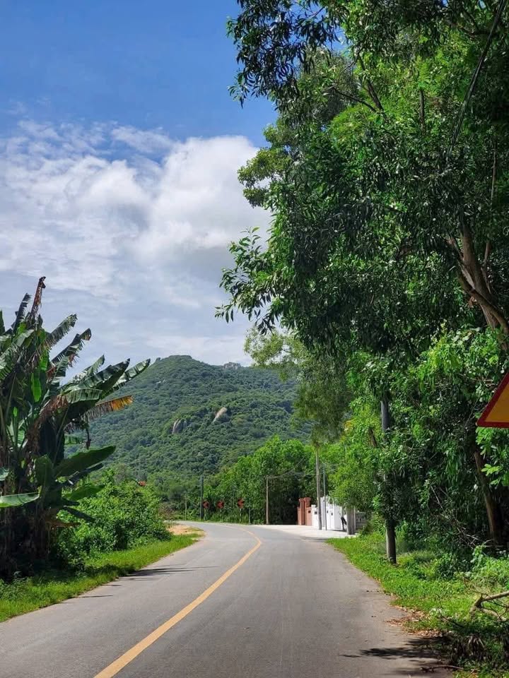 Đất nền Phước Hải, Bà Rịa - Vũng Tàu 600m² giá 2.8 tỷ - Cơ hội đầu tư tuyệt vời!