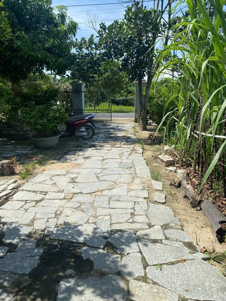 Nhà cấp 4 đường nhựa Liên xã Suối Tiên 530m² giá 1.9 tỷ - Phù hợp cho kinh doanh!