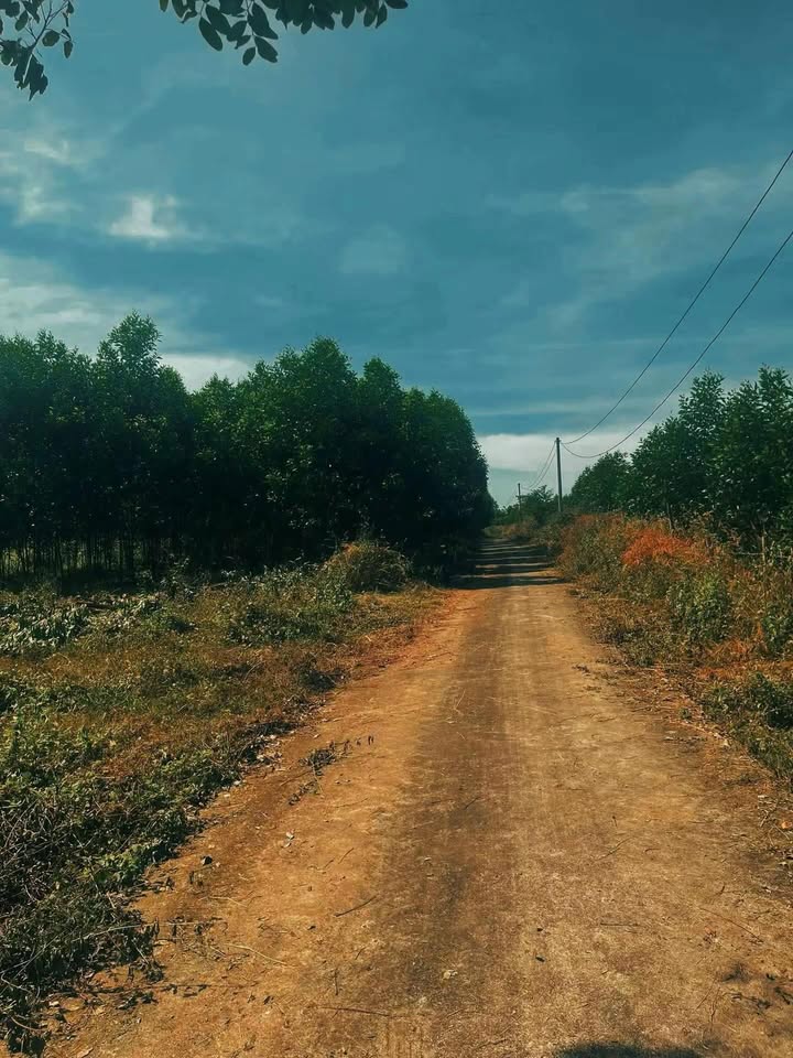 Đất nền Xuân Thành 1444m² giá chỉ 3xx triệu - Mặt tiền rộng rãi, đầu tư sinh lời!