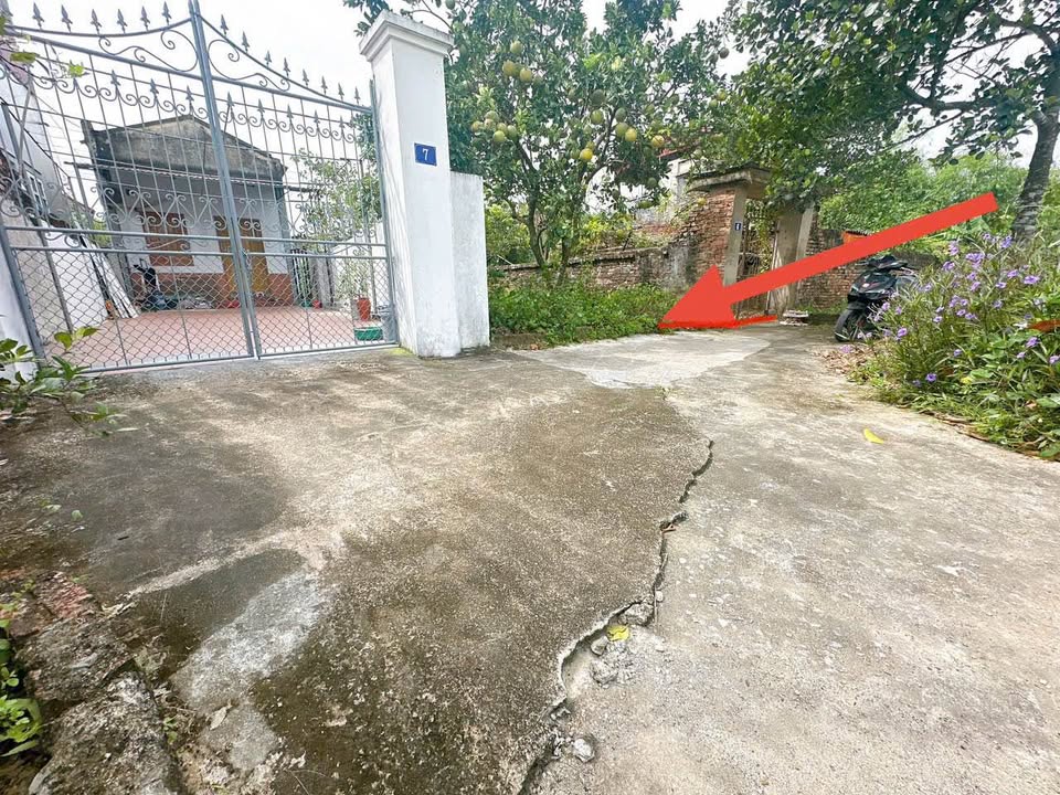 Đất nền Kim Lâm, Thanh Oai 61.5m² giá chỉ 5 triệu/m² - Đầu tư sinh lời ngay!