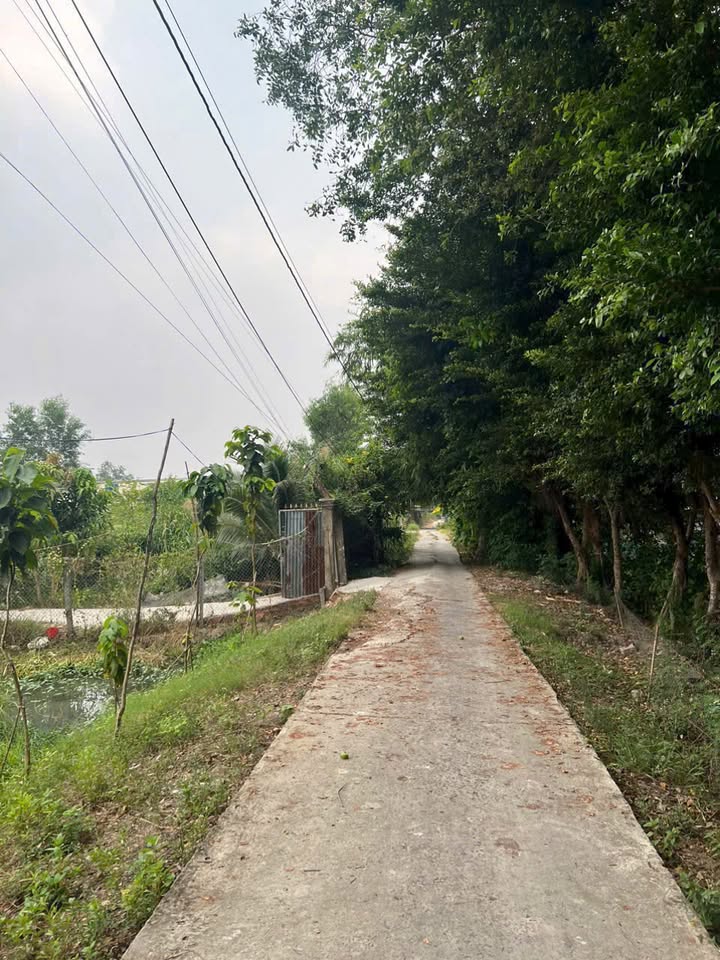 Đất nền Vĩnh Quang, Rạch Giá 1000m² giá 1.339 tỷ - Cơ hội đầu tư tuyệt vời!