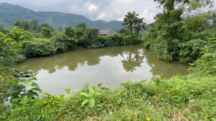 Đất nghỉ dưỡng Thượng Long Phú Thọ 2000m² giá 1 tỷ - Nhà vườn đẹp và ao lớn!