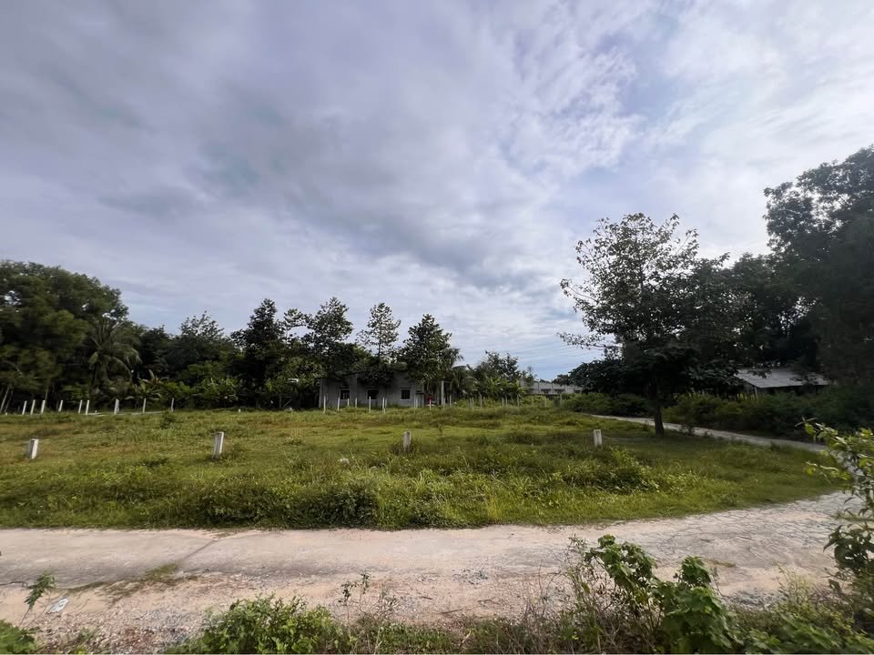 Đất nền Phước Đông, Gò Dầu 100m² giá 390 triệu - Pháp lý rõ ràng, cơ hội đầu tư tốt!