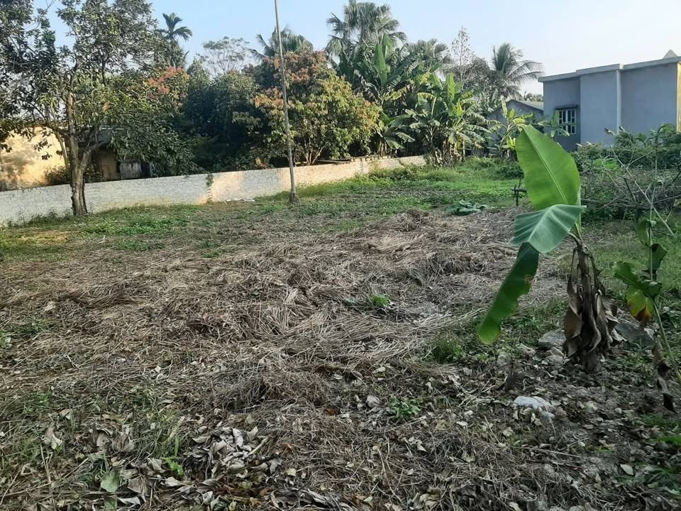 Đất nền Quảng Văn, Quảng Xương 529m² giá 700 triệu - Đầu tư an toàn, sinh lời cao!