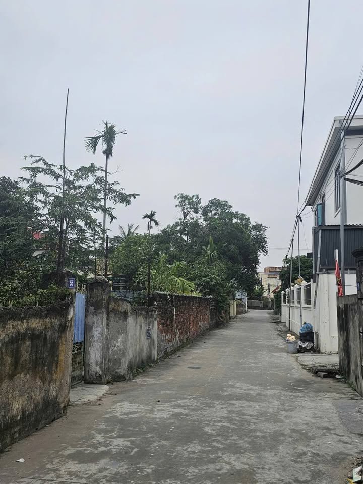 Đất nền An Hồng 63m² giá chỉ 8xx triệu - Ô tô vào tận cửa!