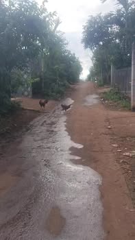 Đất nền Phước An, Krông Pắc 130m² giá chỉ 399 triệu - Sổ đỏ chính chủ!