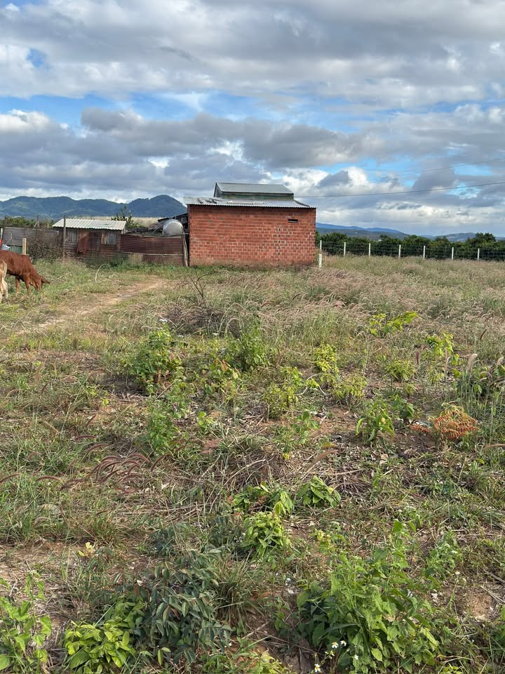 Đất nền Đắk Hà 294m² giá thỏa thuận - Khu dân cư sầm uất!