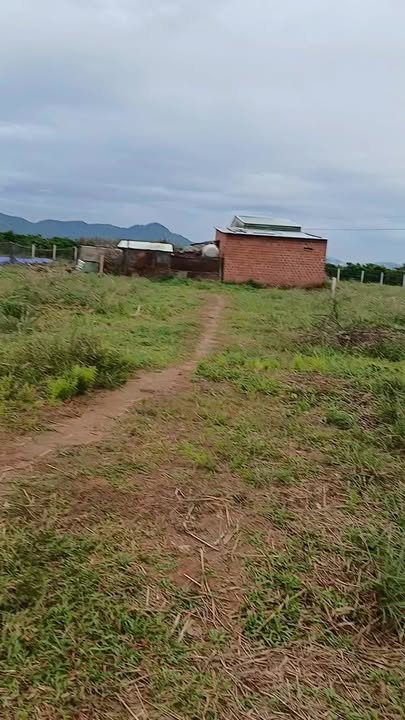 Bán lô đất Đường Quy Hoạch Số 10, Đắk Hà, 294m² - Khu Dân Cư Đông Đúc!