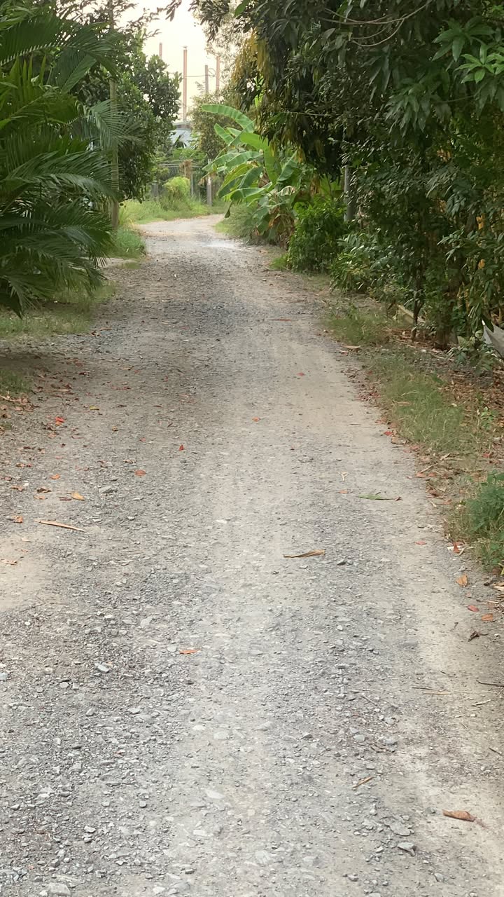 Đất thổ cư mặt tiền kênh Phước Lợi Bến Lức 100m² giá 1.35 tỷ - Cơ hội đầu tư tuyệt vời!