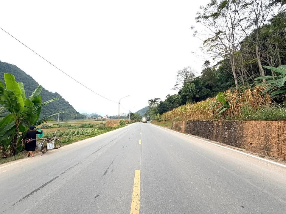 Đất mặt đường Quốc Lộ Thôn Tha, Phương Độ, Hà Giang 665m² - Giá cực tốt bất ngờ!