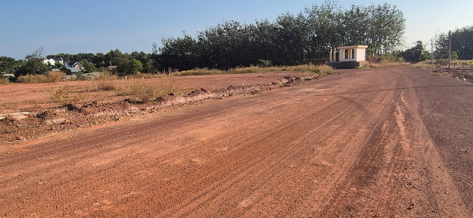 Đất nền Tân Bình Đồng Xoài 600m² giá 1.115 tỷ - Cơ hội đầu tư tuyệt vời!