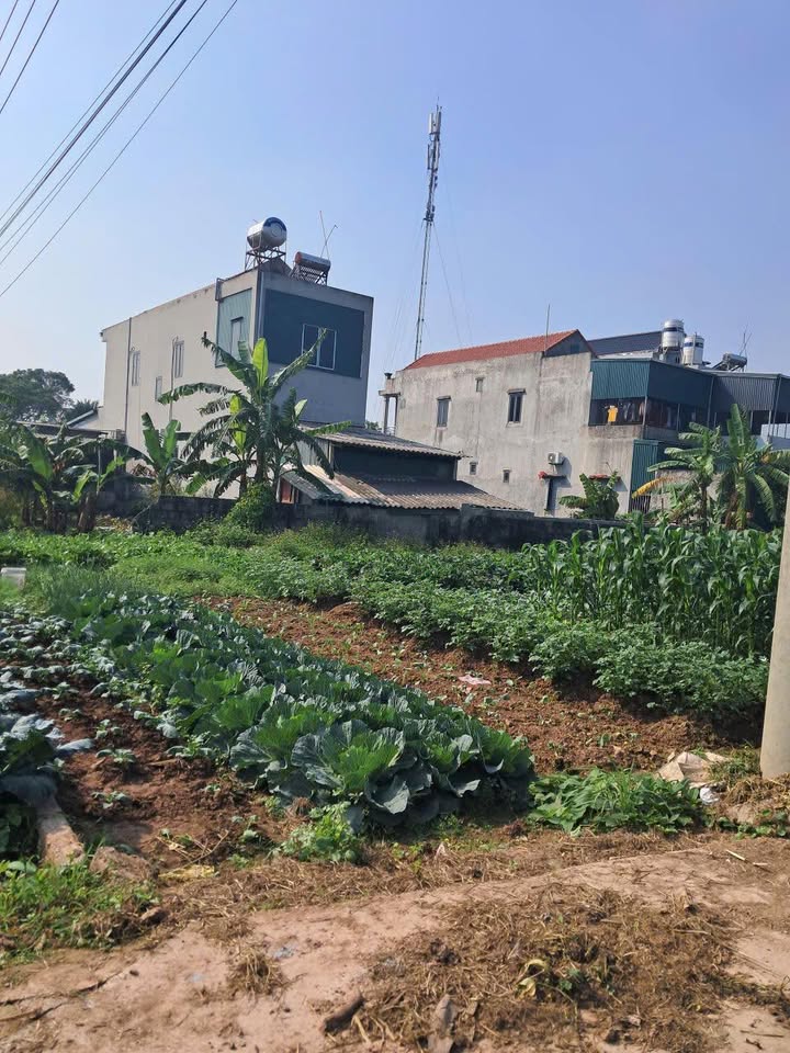 Đất nền tại Bình Lục 153m² giá 1.2 tỷ - Đầu tư sinh lời ngay!