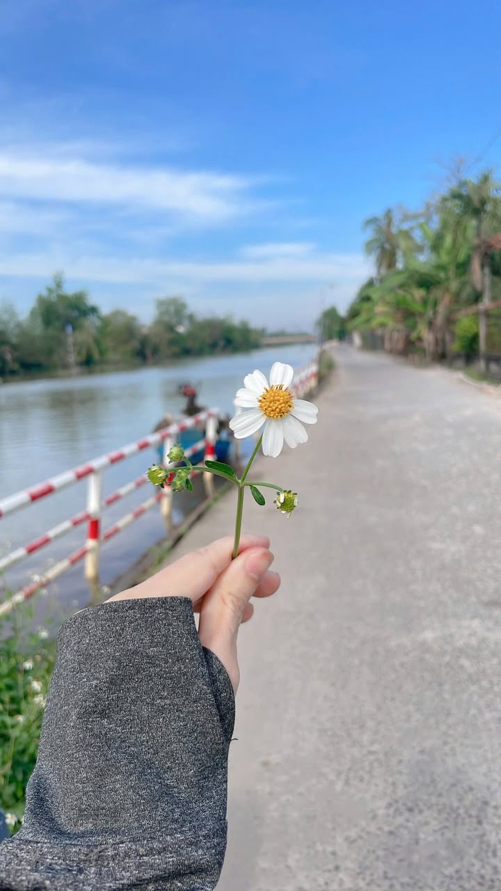 Đất nền thổ cư Phước Thới, Ô Môn, Cần Thơ 95m² giá 680 triệu - View sông tuyệt đẹp!