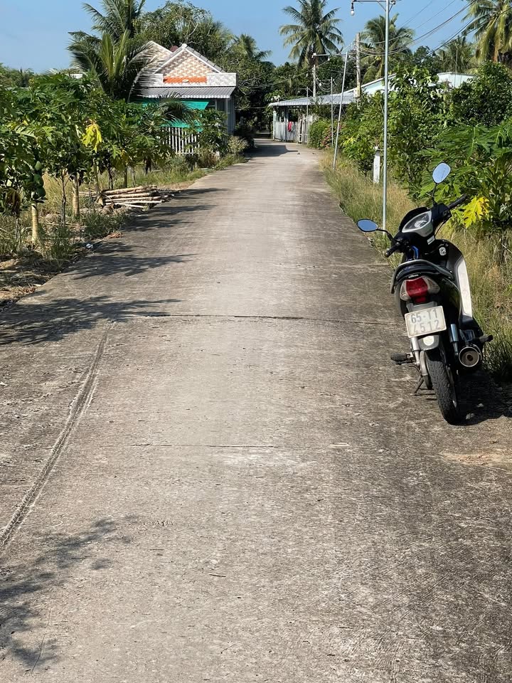 Đất nền và đất ruộng ấp Thới Hữu, Ô Môn, Cần Thơ - Đầu tư sinh lời, giá chỉ 1.6 tỷ!