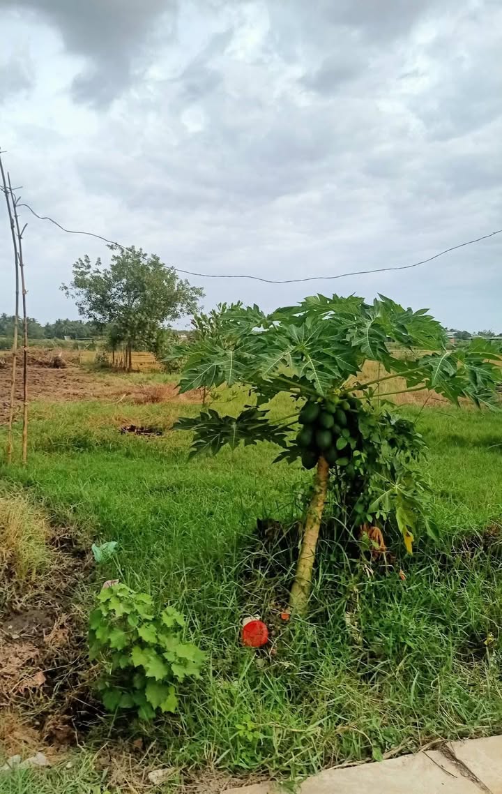 Đất nền An Bình Châu Thành 500m² giá 69 triệu - Đầu tư sinh lời ngay!