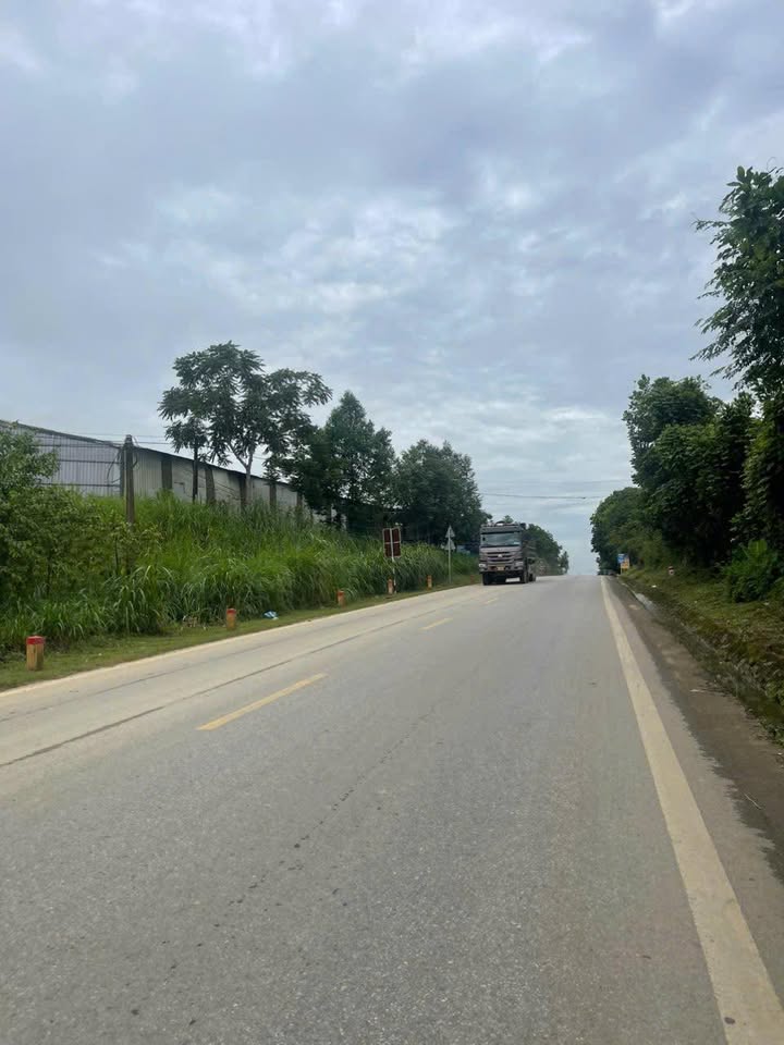 Đất thổ cư 400m² xã Sao Vàng, Thọ Xuân - Gần khu công nghiệp Lam Sơn!