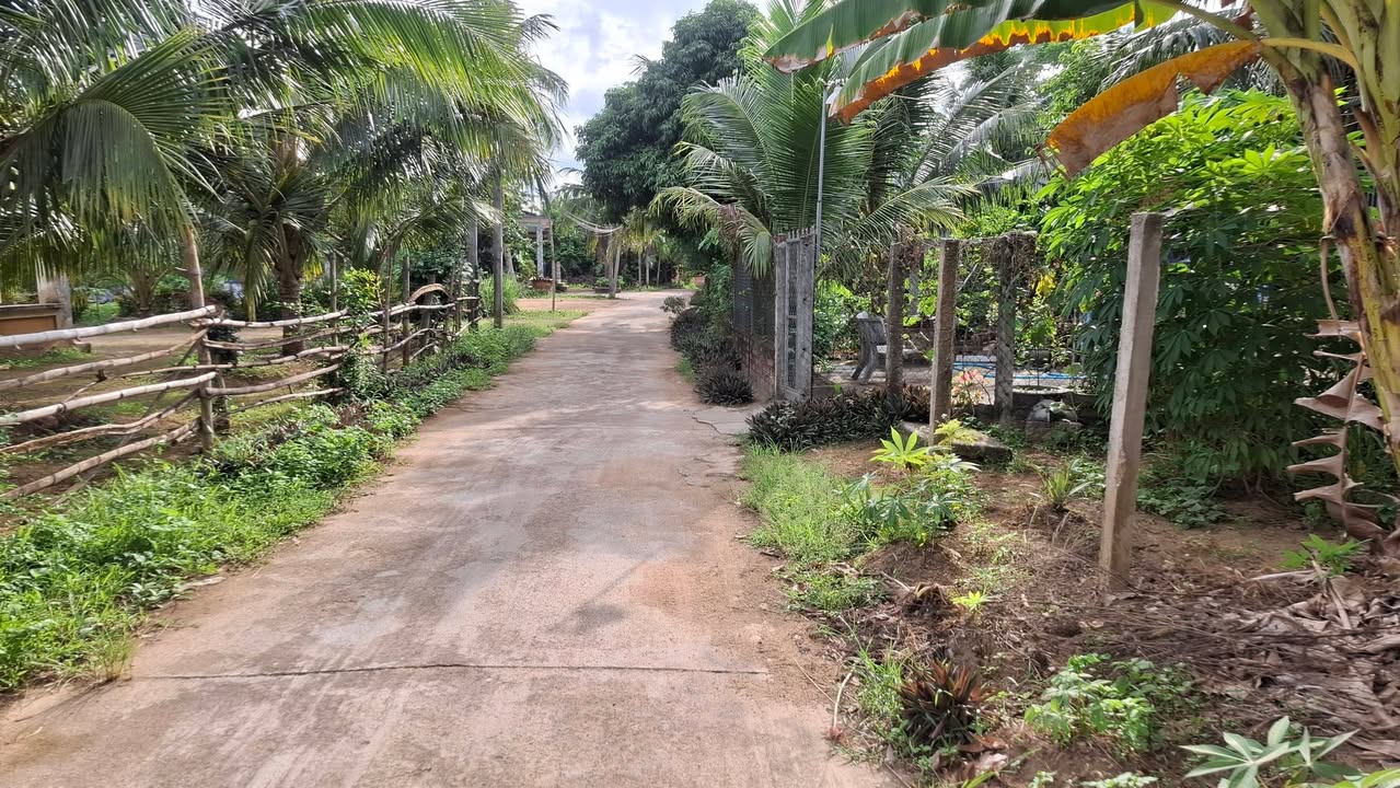 Đất thổ cư 279m² tại Thôn Mỹ Thành, huyện Hoài Ân - Giá chỉ 1.9 tỷ!