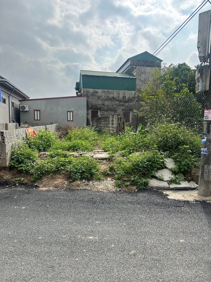 Đất nền 2 lô LK Đào Đặng Trung Nghĩa - Phố Hiến, 86.4m² và 89.6m² - Giá đầu tư tốt!