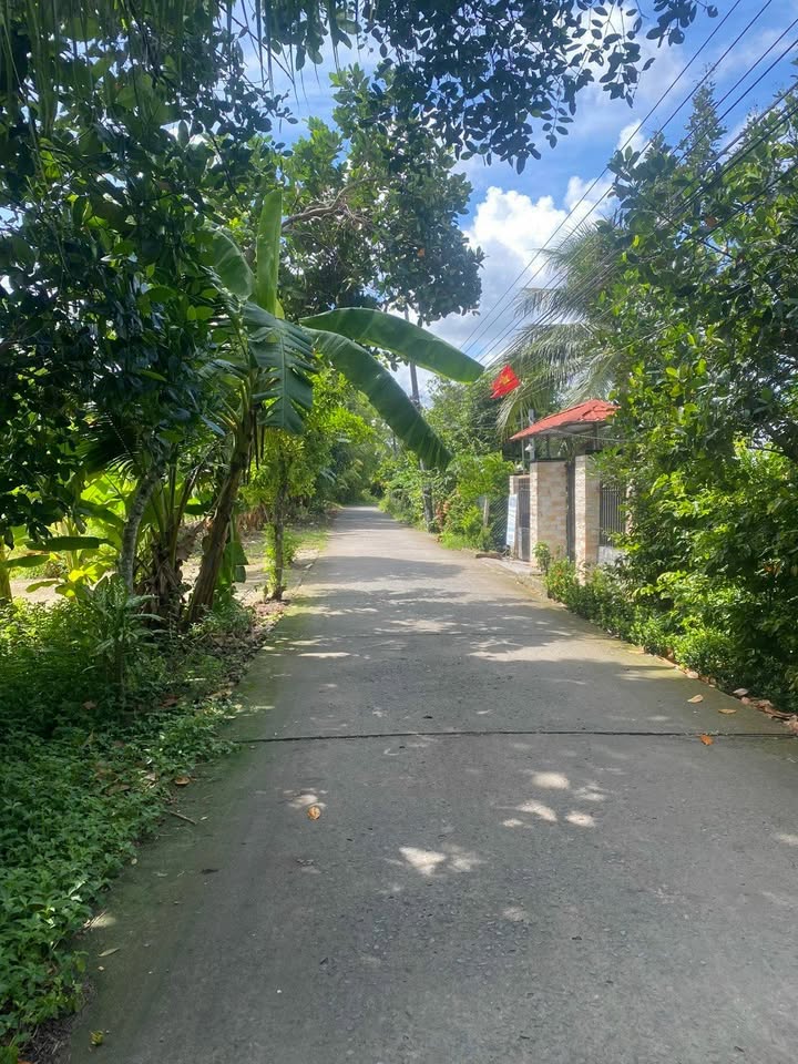 Đất nền mặt tiền Kênh Đào, Ngã Bảy, 368m² giá 780 triệu - Sổ hồng chính chủ sẵn sàng sang tên!