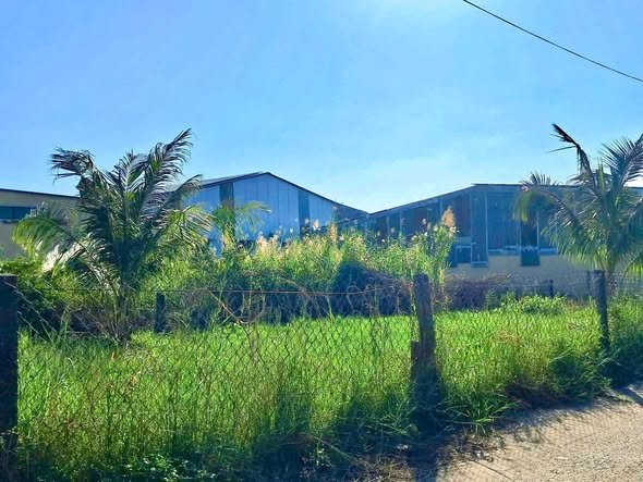 Đất nền An Thới Phú Quốc 310m² giá 3 tỷ - Đầu tư sinh lời ngay!