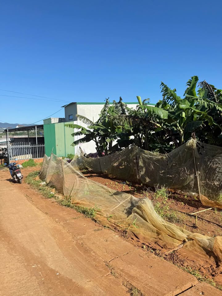 Đất nền Quảng Lập Đơn Dương 150m² giá 650 triệu - Tiềm năng đầu tư vượt trội!