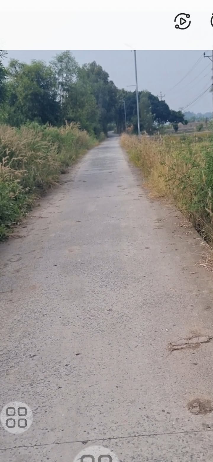 Đất lúa mặt tiền đường Bà Mía xã Mỹ Lạc 990m² giá 1.1 tỷ - Cơ hội đầu tư hấp dẫn!